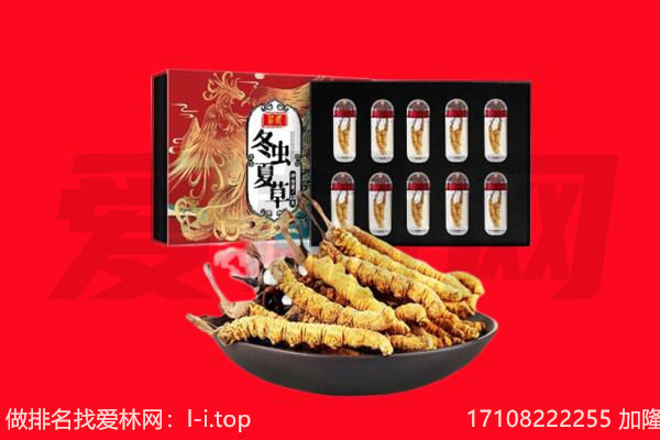 巫溪县回收虫草.jpg